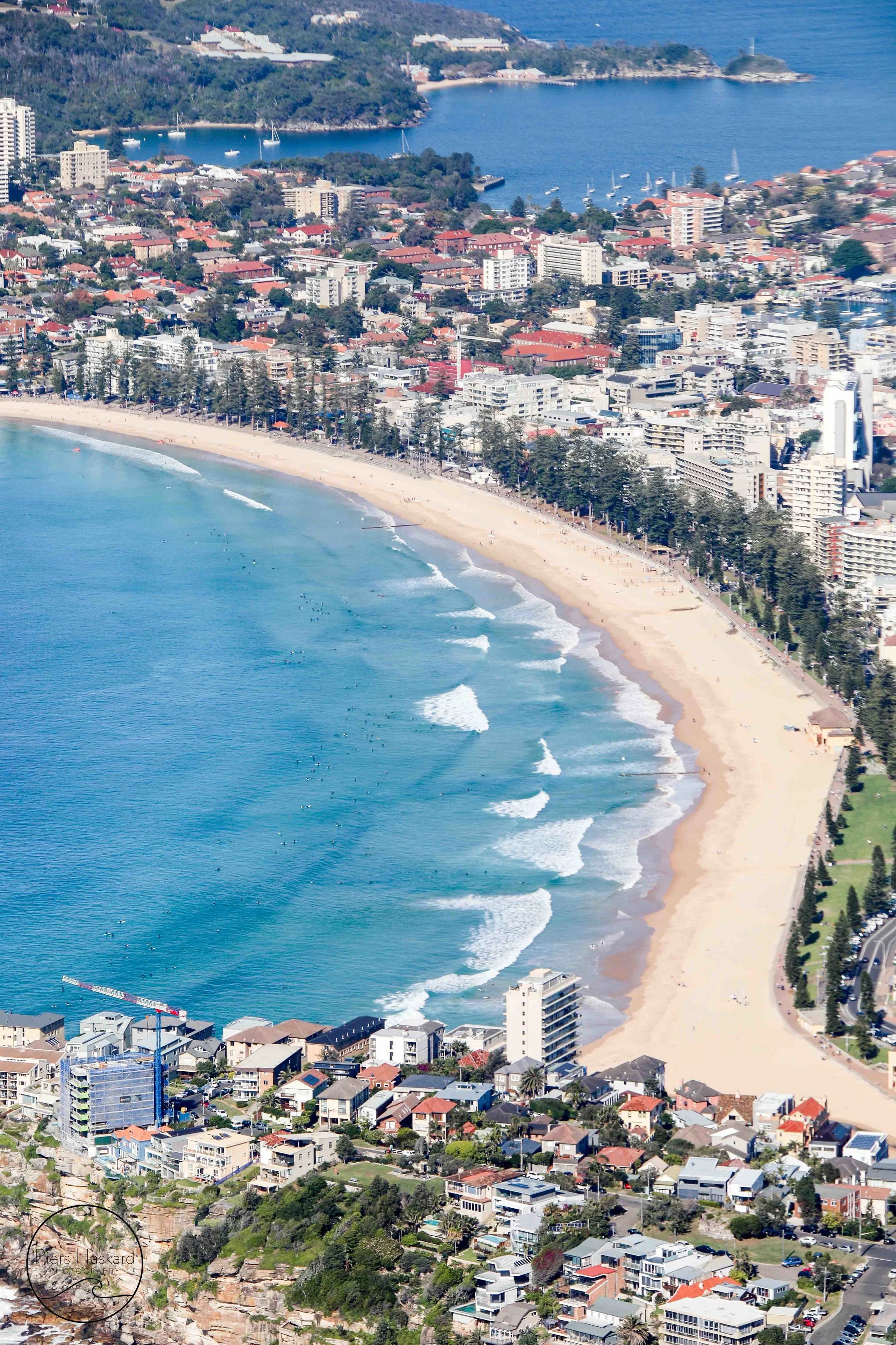 Manly Beach From Queenscliff — PIERS HASKARD
